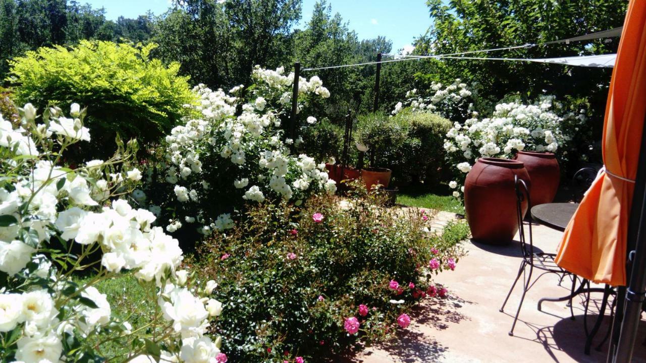 Villa Des Roses Roussillon  Exterior photo